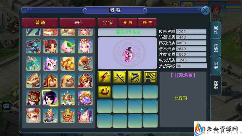 20240515194129225-2024051505450049